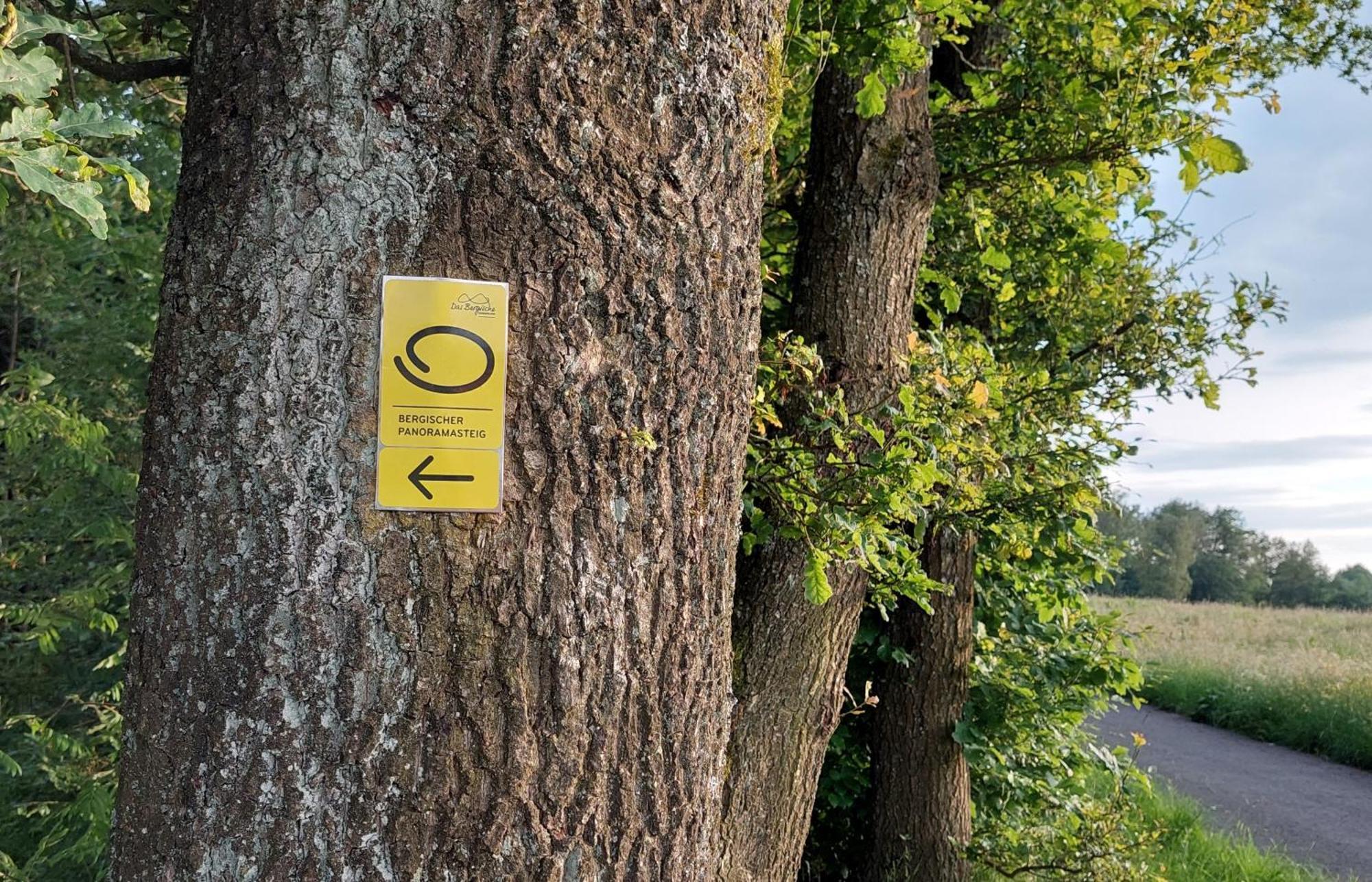 Ferienwohnung Waldbroel - Nahe Naturerlebnispark Waldbrol Extérieur photo